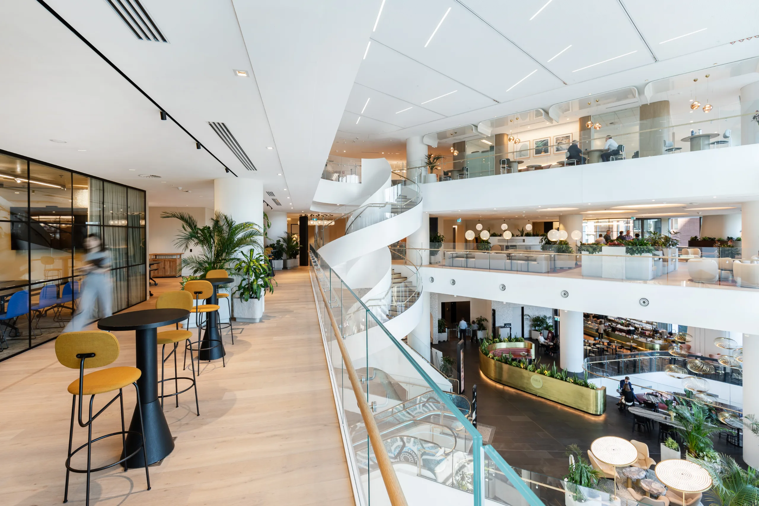 50 Bridge St, Sydney: photo 4