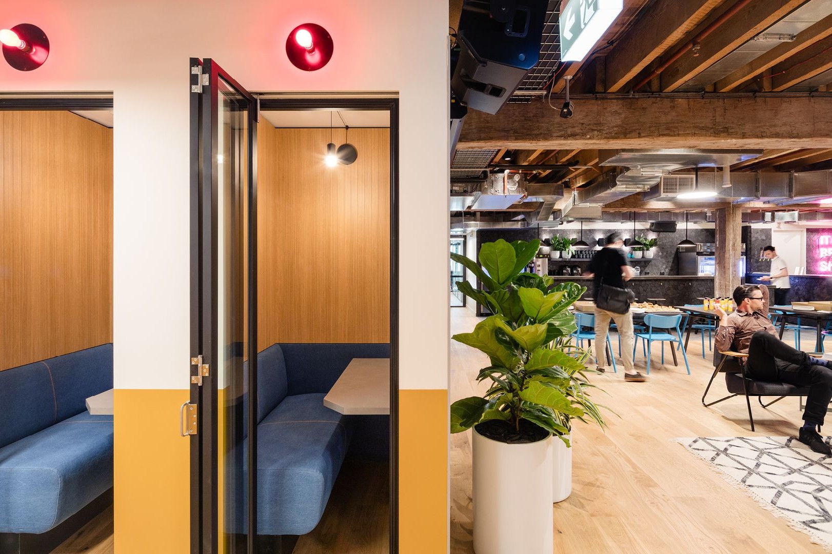 Modern office space featuring a private meeting booth, open lounge area, and large potted plants.