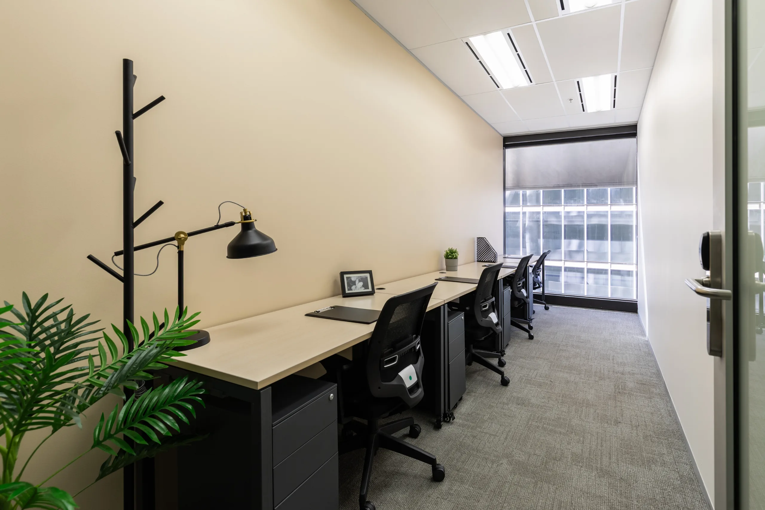 Bright office space with long desks, black ergonomic chairs, and a large window with natural light.