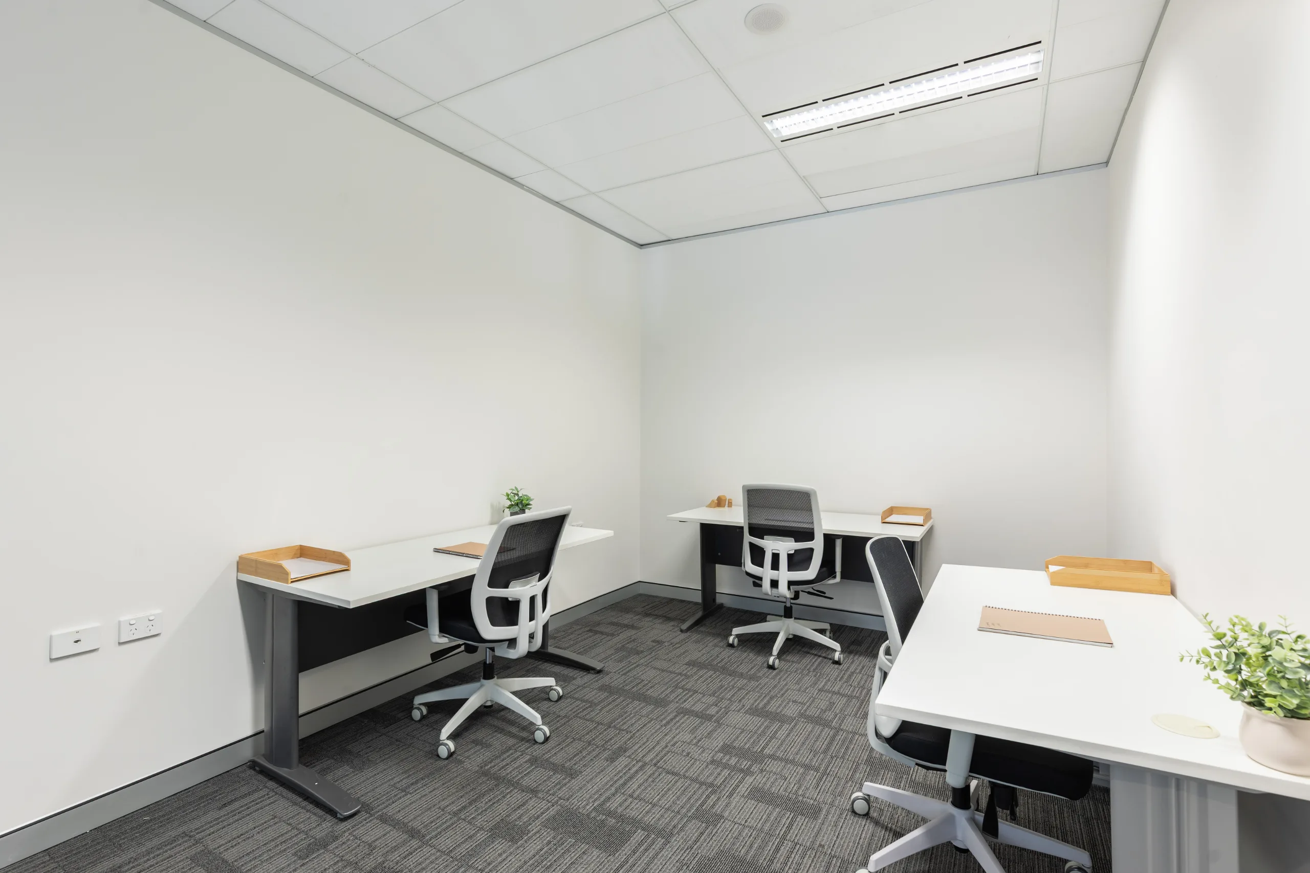 Bright, minimalist office room featuring three white desks, black ergonomic chairs, and grey patterned carpet.