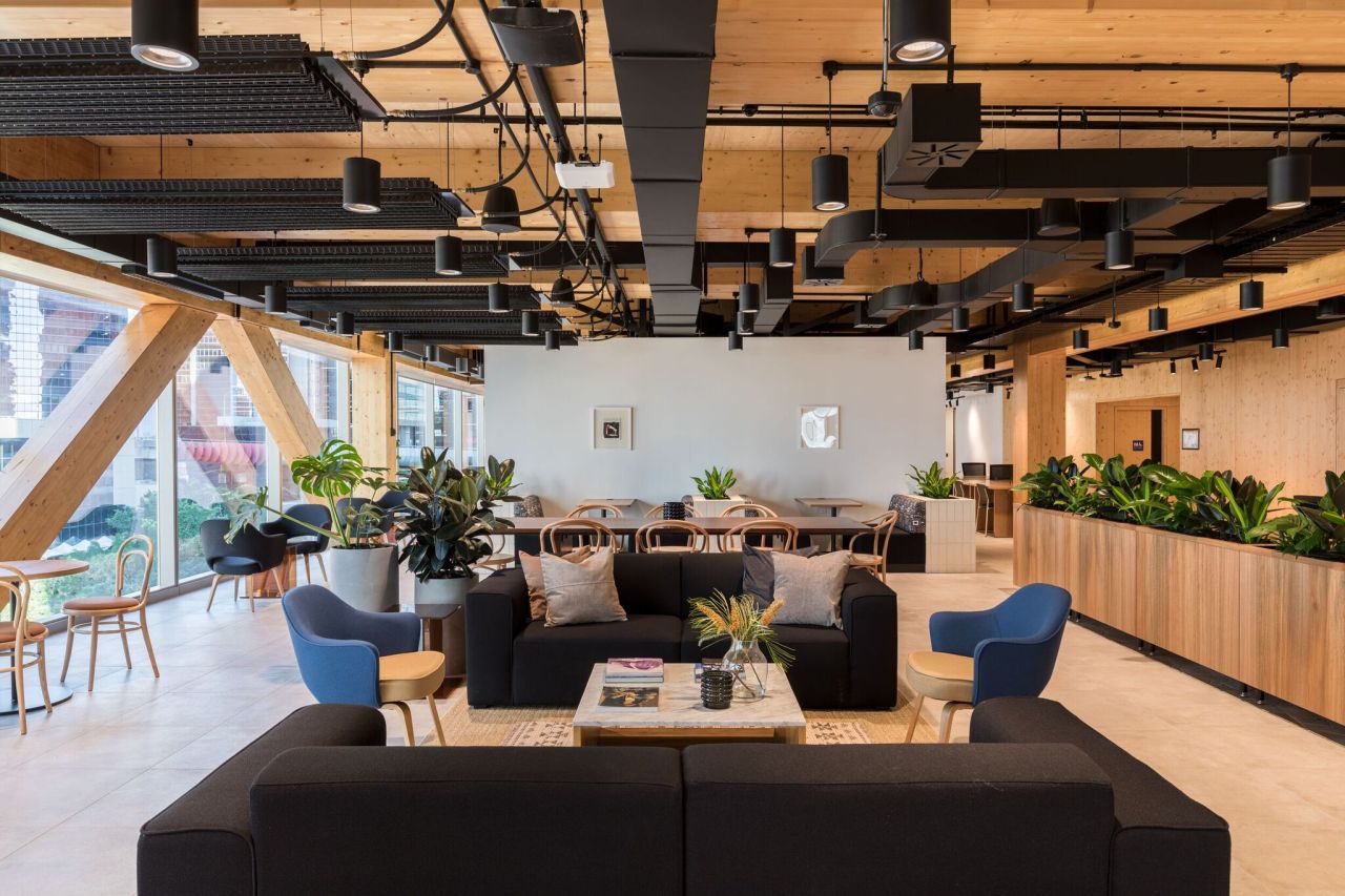 Modern lounge area with black sofas, blue armchairs, indoor plants, and large windows with natural light.